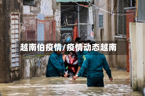 越南伯疫情/疫情动态越南-第1张图片