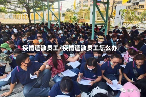 疫情遣散员工/疫情遣散员工怎么办-第3张图片