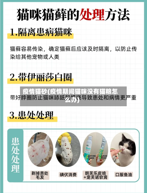 疫情猫砂(疫情期间猫咪没有猫粮怎么办)-第1张图片