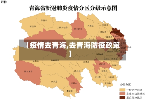 【疫情去青海,去青海防疫政策】-第3张图片