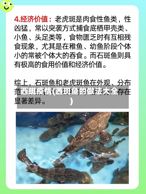 西斑疫情(西斑鱼的做法大全)-第1张图片