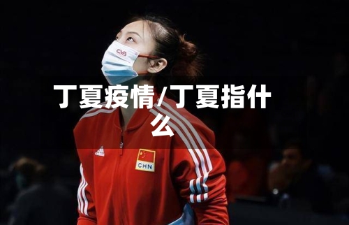 丁夏疫情/丁夏指什么-第1张图片