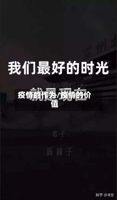 疫情的作为/疫情的价值-第2张图片