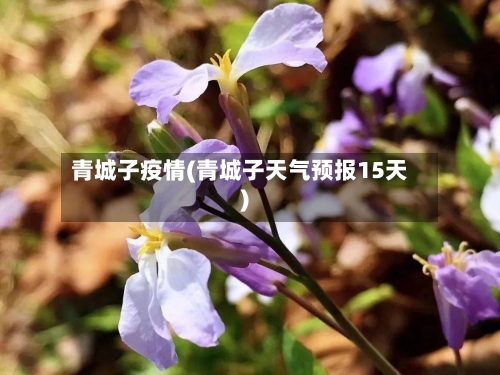 青城子疫情(青城子天气预报15天)-第1张图片