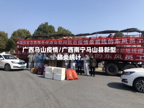广西马山疫情/广西南宁马山县新型肺炎统计-第2张图片