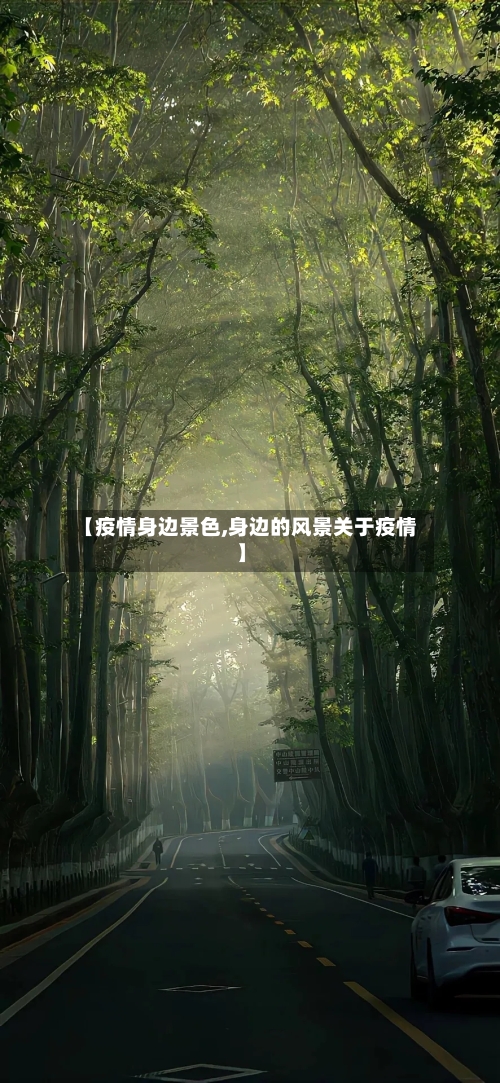 【疫情身边景色,身边的风景关于疫情】-第1张图片