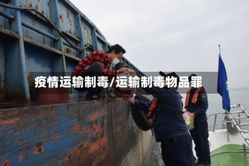 疫情运输制毒/运输制毒物品罪-第1张图片