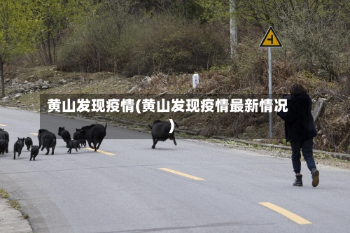 黄山发现疫情(黄山发现疫情最新情况)-第1张图片