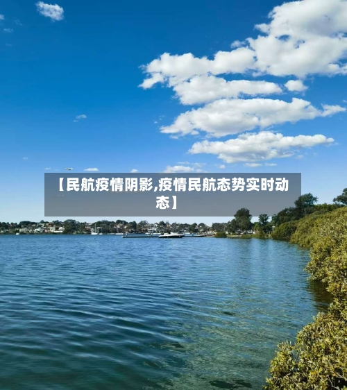 【民航疫情阴影,疫情民航态势实时动态】-第2张图片
