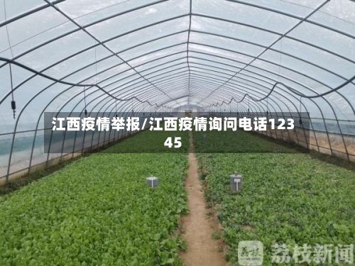 江西疫情举报/江西疫情询问电话12345-第2张图片