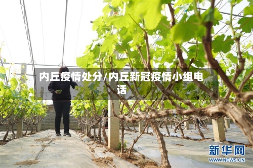 内丘疫情处分/内丘新冠疫情小组电话-第1张图片