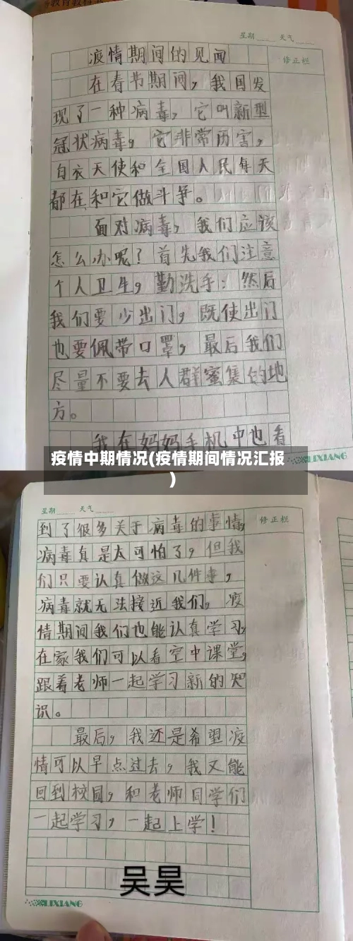 疫情中期情况(疫情期间情况汇报)-第2张图片