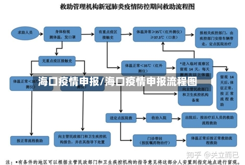 海口疫情申报/海口疫情申报流程图-第3张图片