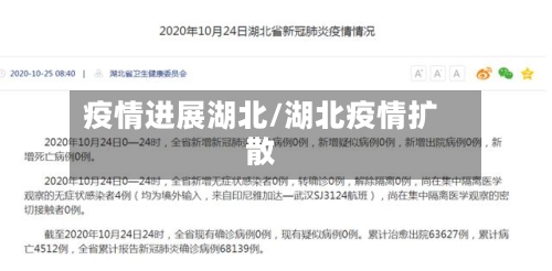疫情进展湖北/湖北疫情扩散-第2张图片