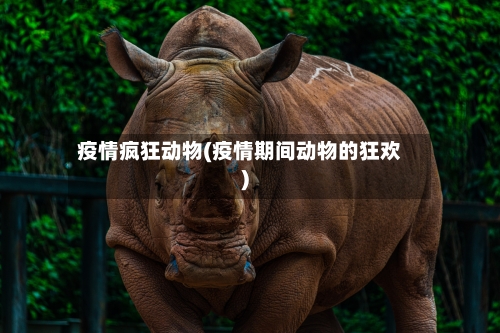 疫情疯狂动物(疫情期间动物的狂欢)-第2张图片