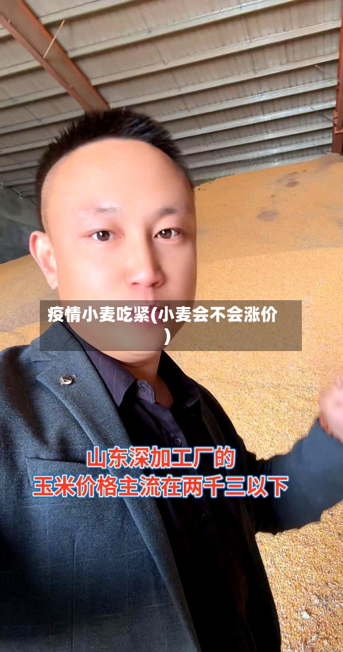 疫情小麦吃紧(小麦会不会涨价)-第1张图片