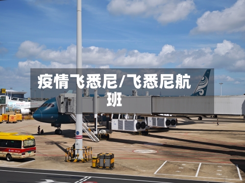 疫情飞悉尼/飞悉尼航班-第2张图片