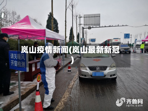 岚山疫情新闻(岚山最新新冠)-第1张图片
