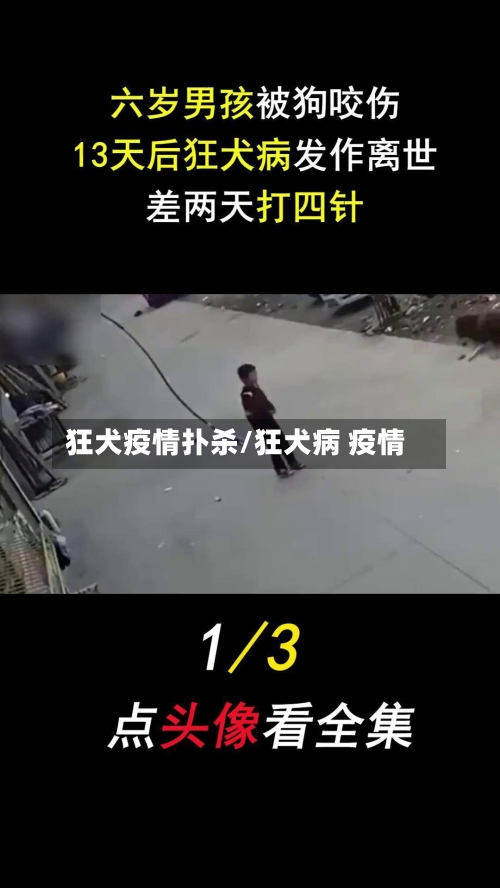 狂犬疫情扑杀/狂犬病 疫情-第3张图片