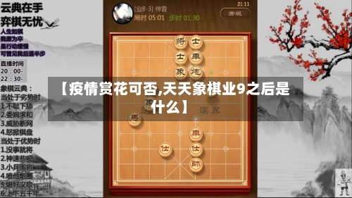 【疫情赏花可否,天天象棋业9之后是什么】-第2张图片