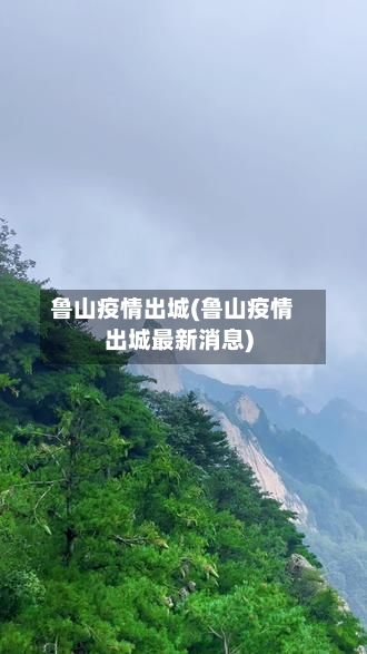 鲁山疫情出城(鲁山疫情出城最新消息)-第2张图片