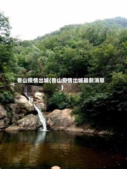 鲁山疫情出城(鲁山疫情出城最新消息)-第1张图片