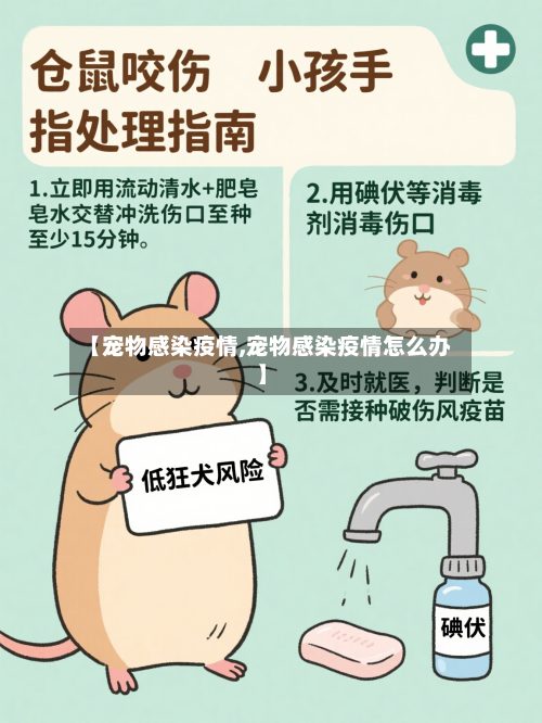 【宠物感染疫情,宠物感染疫情怎么办】-第2张图片