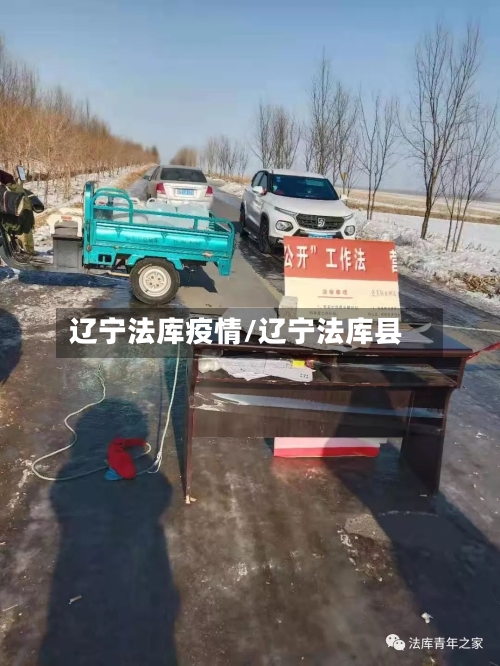 辽宁法库疫情/辽宁法库县-第3张图片