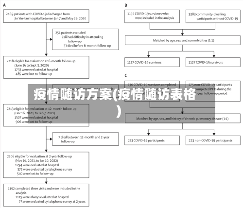 疫情随访方案(疫情随访表格)-第1张图片