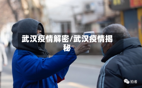 武汉疫情解密/武汉疫情揭秘-第2张图片