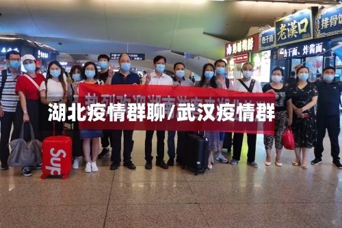 湖北疫情群聊/武汉疫情群-第1张图片