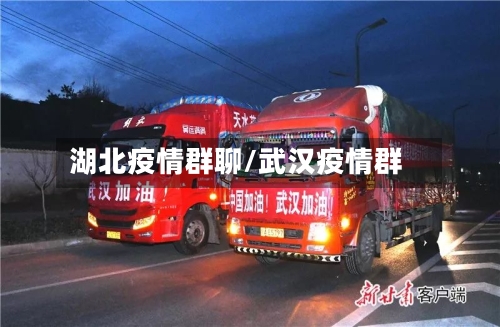 湖北疫情群聊/武汉疫情群-第3张图片