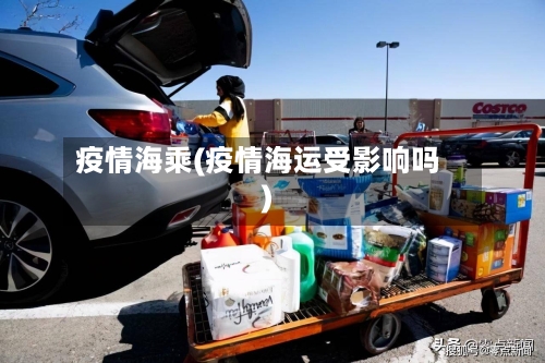 疫情海乘(疫情海运受影响吗)-第3张图片