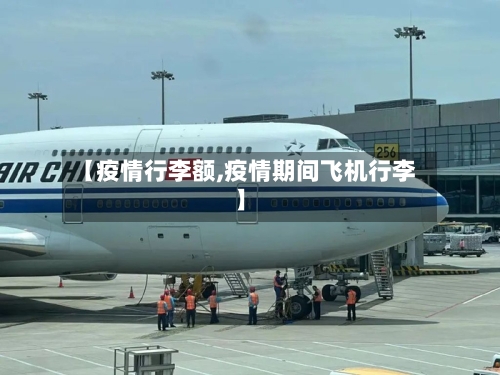 【疫情行李额,疫情期间飞机行李】-第1张图片