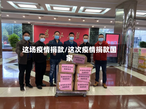 这场疫情捐款/这次疫情捐款国家-第3张图片