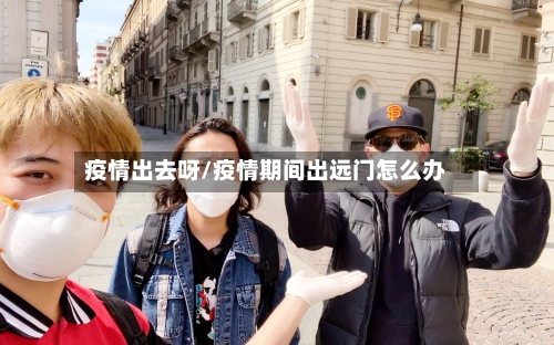 疫情出去呀/疫情期间出远门怎么办-第3张图片