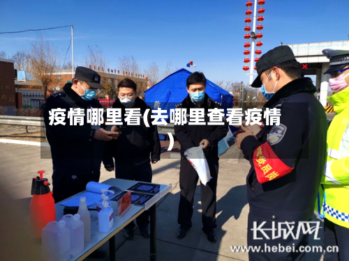 疫情哪里看(去哪里查看疫情)-第1张图片