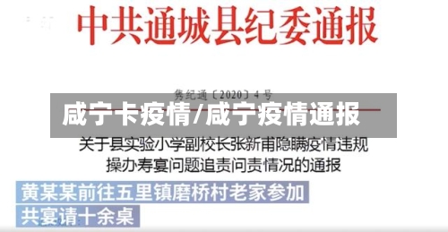 咸宁卡疫情/咸宁疫情通报-第2张图片