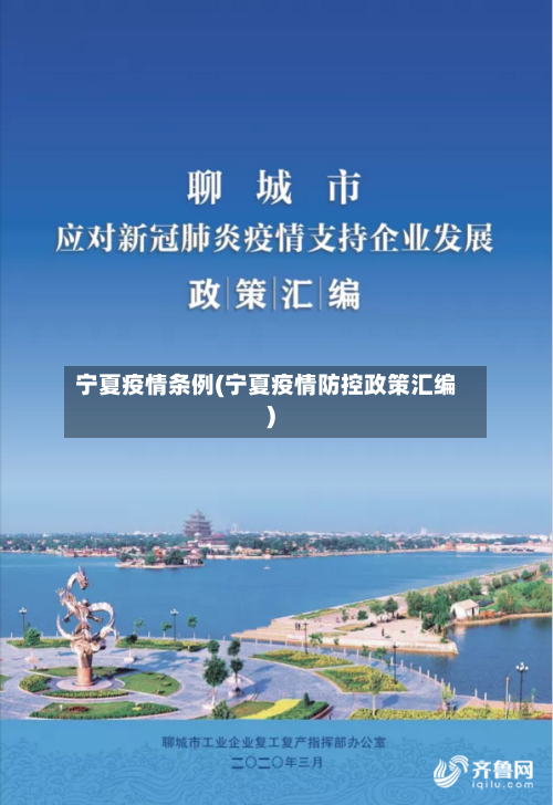 宁夏疫情条例(宁夏疫情防控政策汇编)-第3张图片