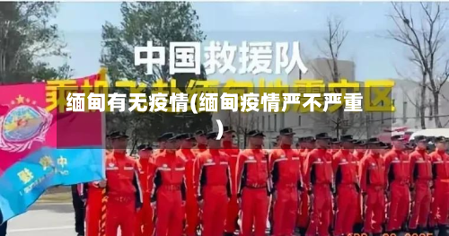 缅甸有无疫情(缅甸疫情严不严重)-第3张图片