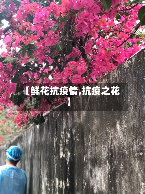 【鲜花抗疫情,抗疫之花】-第1张图片