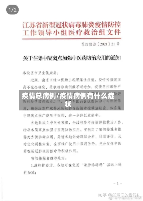 疫情总病例/疫情病例有什么症状-第2张图片