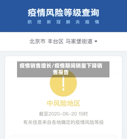 疫情销售增长/疫情期间销量下降销售报告-第2张图片