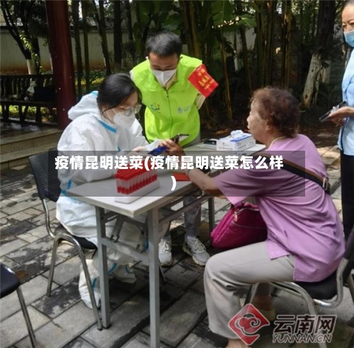 疫情昆明送菜(疫情昆明送菜怎么样)-第1张图片