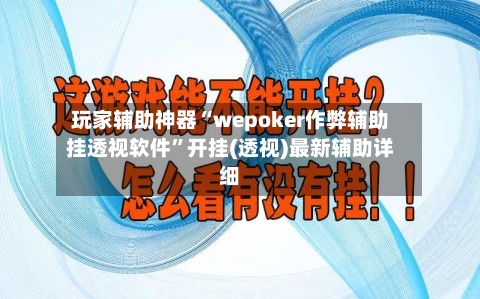 玩家辅助神器“wepoker作弊辅助挂透视软件”开挂(透视)最新辅助详细-第3张图片