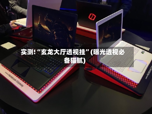 实测!“玄龙大厅透视挂	”(曝光透视必备猫腻)-第1张图片