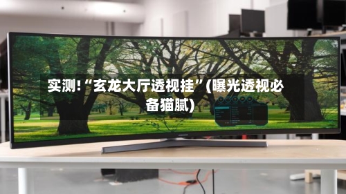 实测!“玄龙大厅透视挂	”(曝光透视必备猫腻)-第2张图片