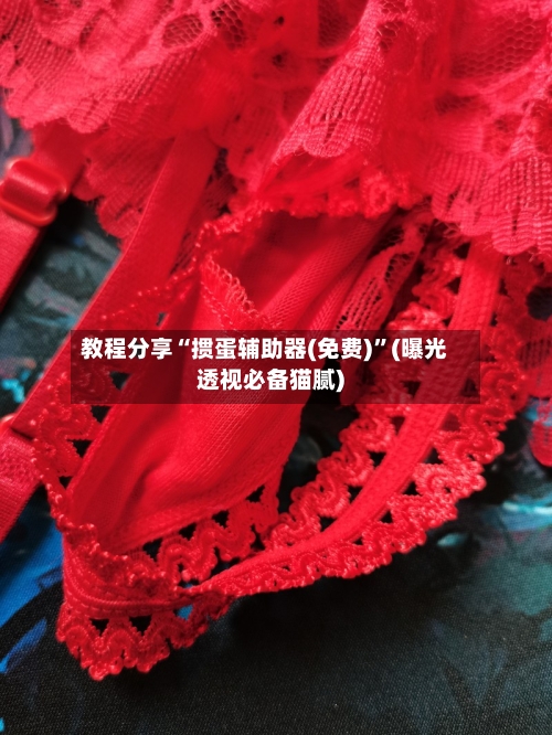 教程分享“掼蛋辅助器(免费)	”(曝光透视必备猫腻)-第2张图片