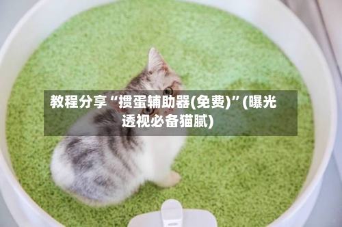 教程分享“掼蛋辅助器(免费)”(曝光透视必备猫腻)-第1张图片