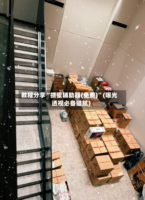 教程分享“掼蛋辅助器(免费)”(曝光透视必备猫腻)-第3张图片